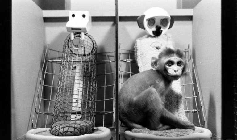 Anne-Çocuk Sevgisi Laboratuvar Koşullarında İncelenebilir Mi?