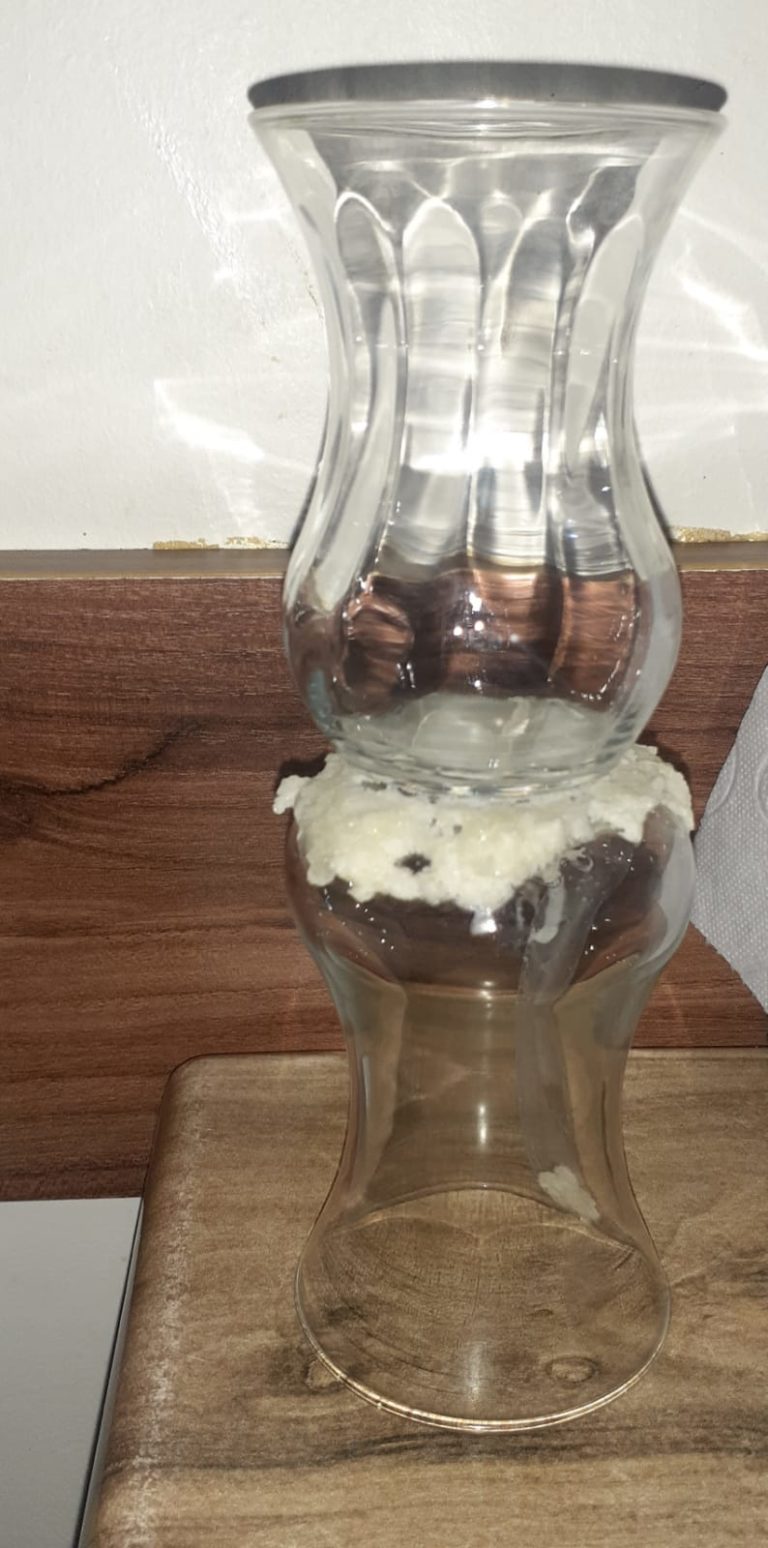 Evdeki Bilim: Doğal Yapıştırıcı Yapalım