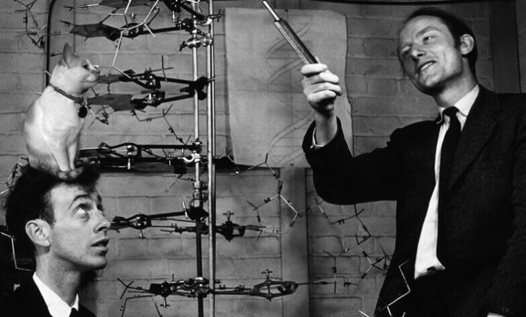 Yapılan İlk DNA Keşfi ve Genetik Araştırmaların Gelişimi